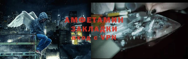 сатива Новокубанск