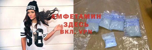прущие грибы Няндома