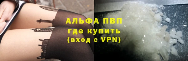 сатива Новокубанск