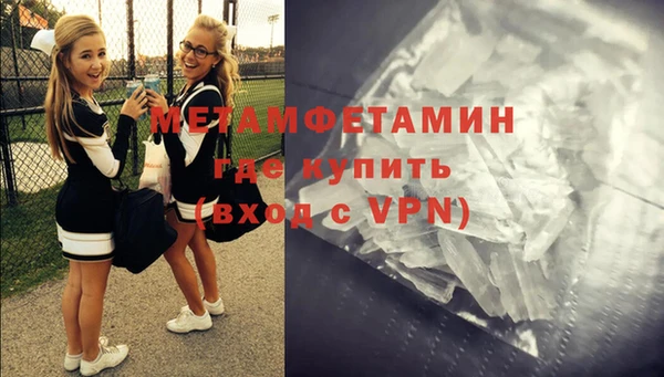 сатива Новокубанск