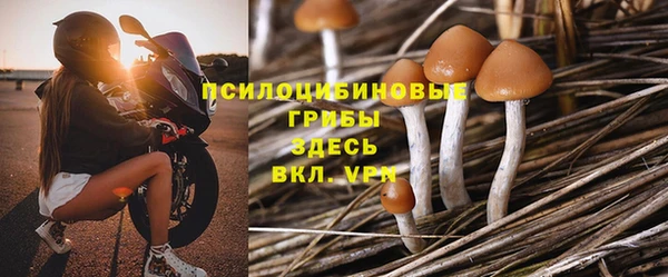 сатива Новокубанск
