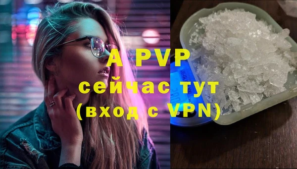 прущие крисы Новозыбков