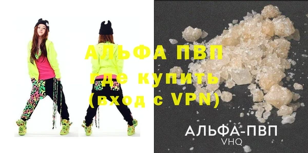 сатива Новокубанск