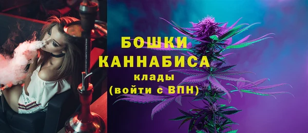 сатива Новокубанск